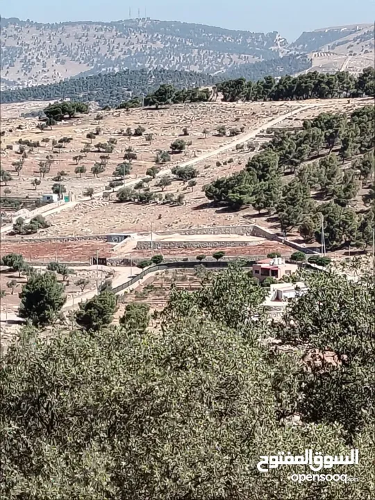 ارض للبيع جرش عنيبه سكان المهندسين