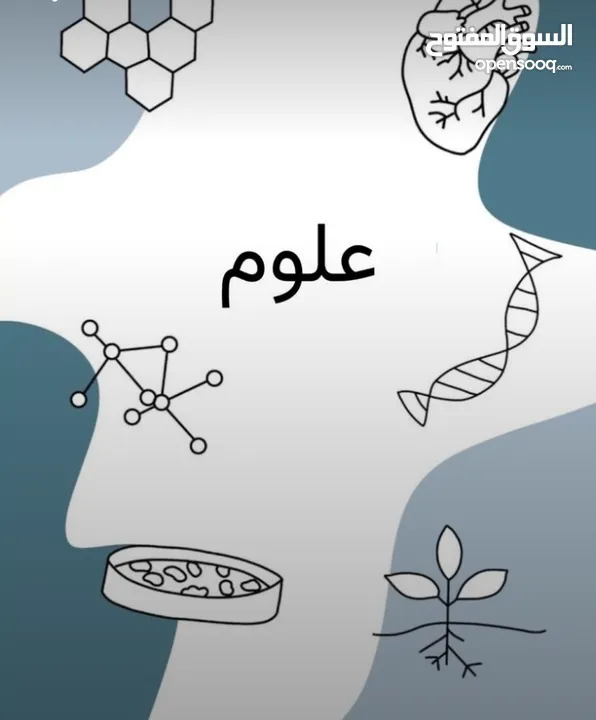 معلمة رياضيات وعلوم خصوصي