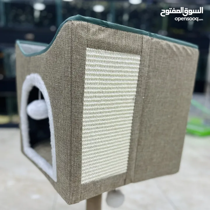 بيوت مع خداشات للقطط