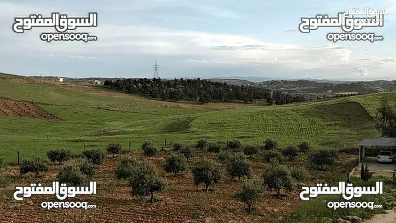 ارض للبيع مساحه 3 دنمات و 400م  مفروزه قزشان مستقل من المالك