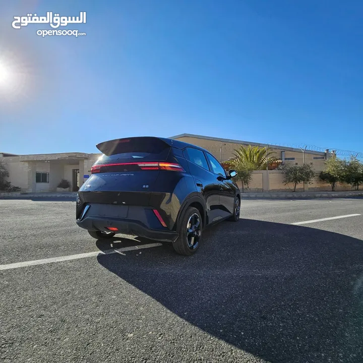 BYD سيكال 2024 شكل 2025