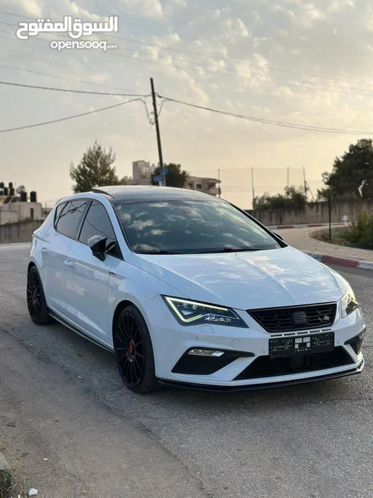 Lion seat Fr