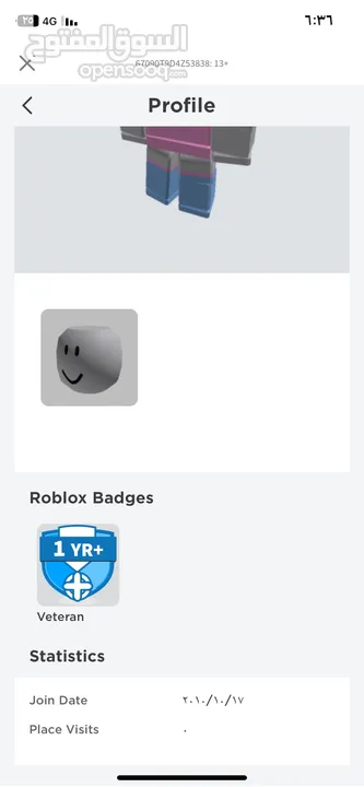 حساب روبولكس من 2010 للبيع