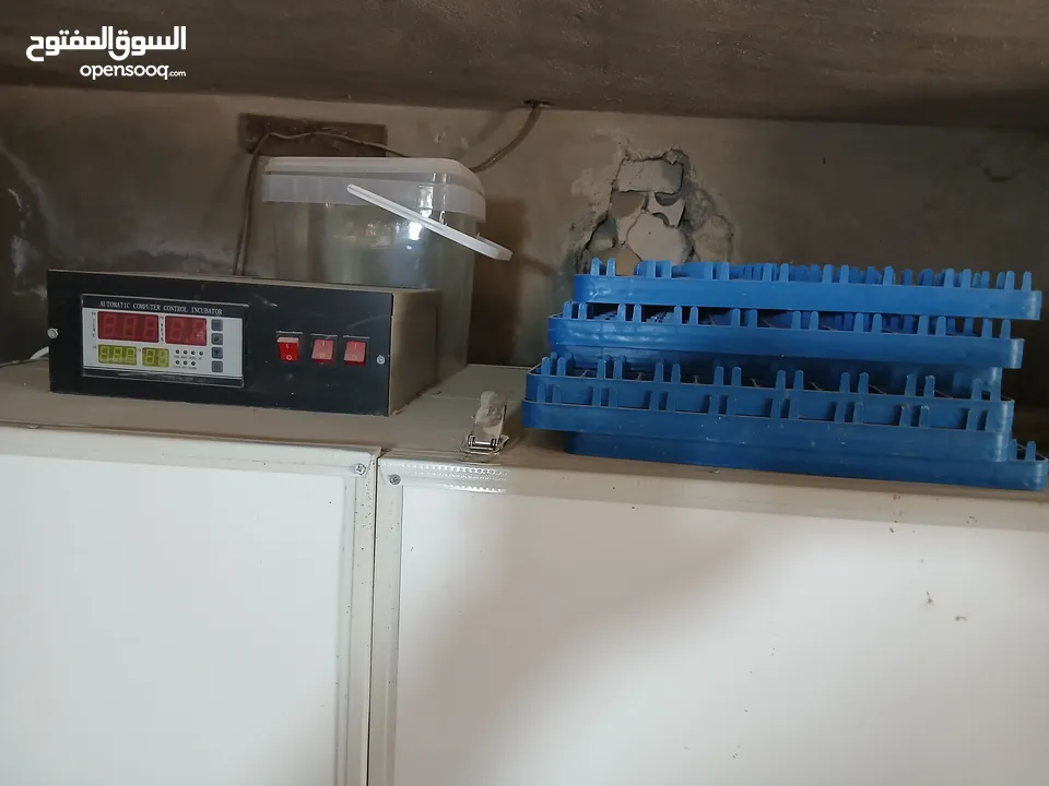 فقاسه للبيع