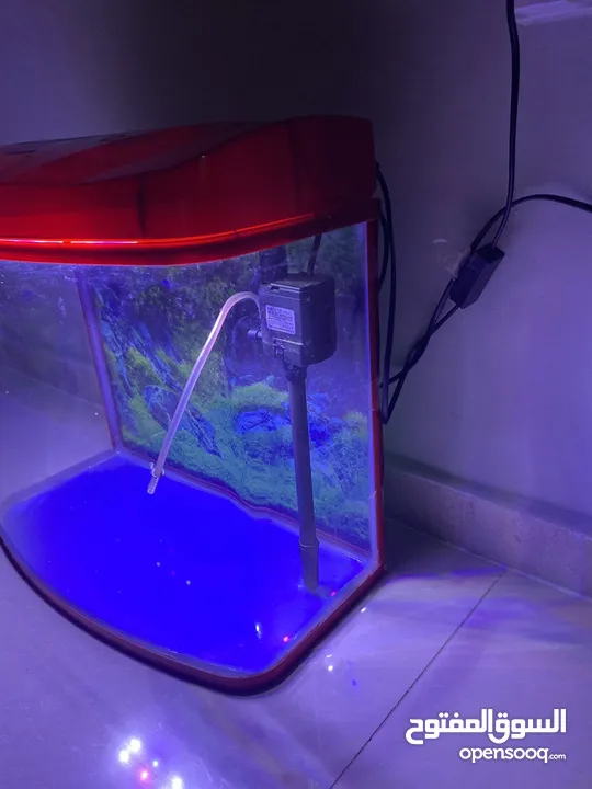Fish tank with led light +water pump