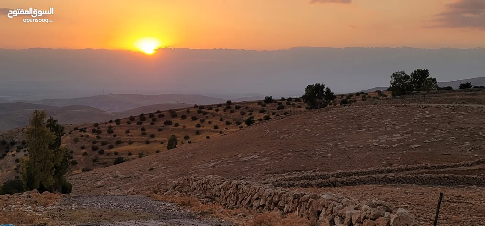 أرض مميزة مطلة على القدس  من أراضي غرب عمان للبيع