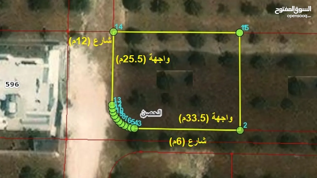 860متر - الحصن - حوض سلمى والحولة - قطعة مرتفعه