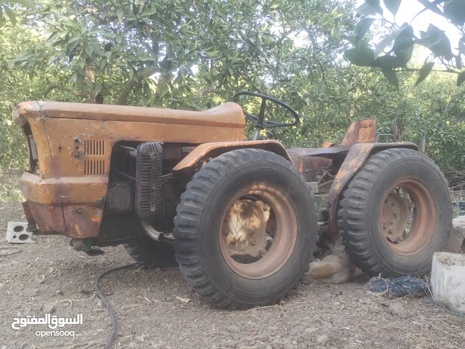 نكاشة جلدوني صناعة إيطالية