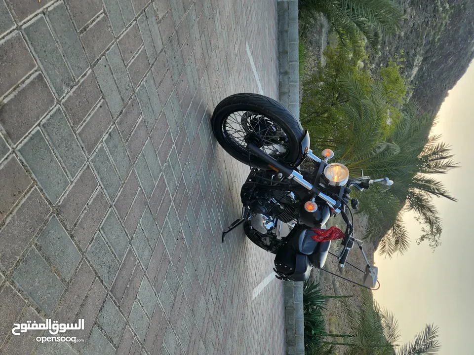 دراجة yamaha dragstar xvs650 2016