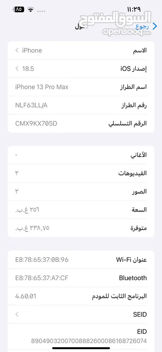 13 برو ماكس بالكرتونه