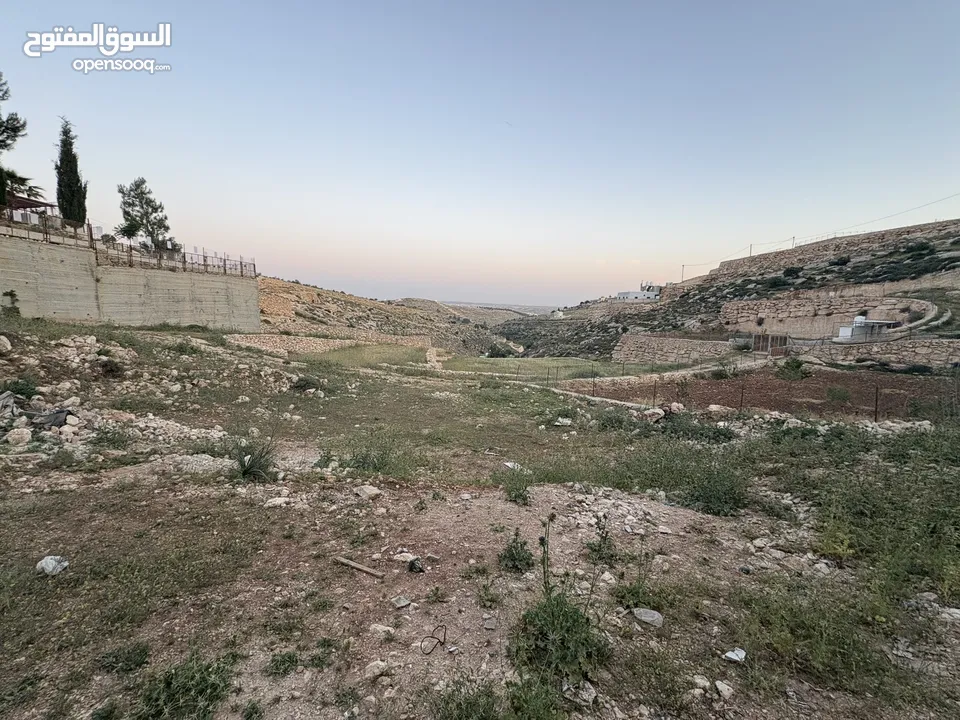 ارض في دورا منطقة الصرة تصنيف A طابو