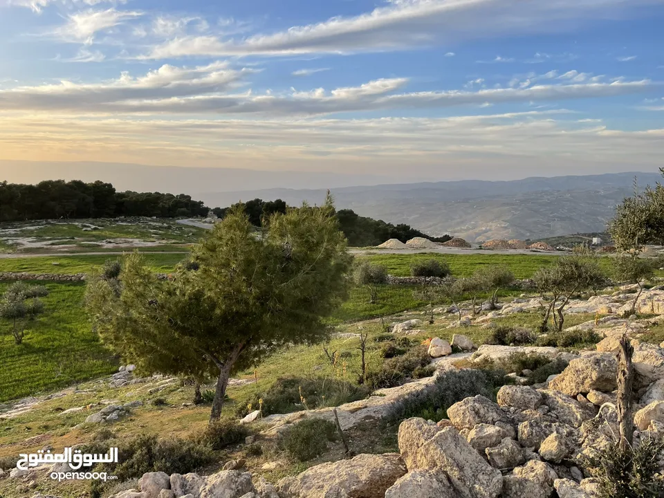 من المالك مباشرة، فرصة استثمارية، زبود باطلالة رائعة, ، ناعور، تلة زبود  12 دونم ونصف