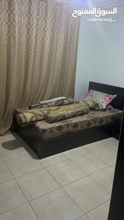 شقة استيديو سكن طالبات - عوائل صغيرة شارع الجامعة خلف الضمان
