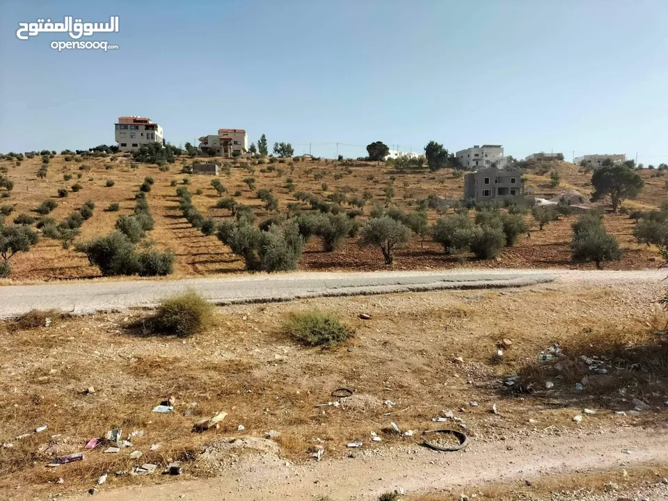 أرض للبيع على طريق إربد عمان منطقة بليله على شارع رئيسي
