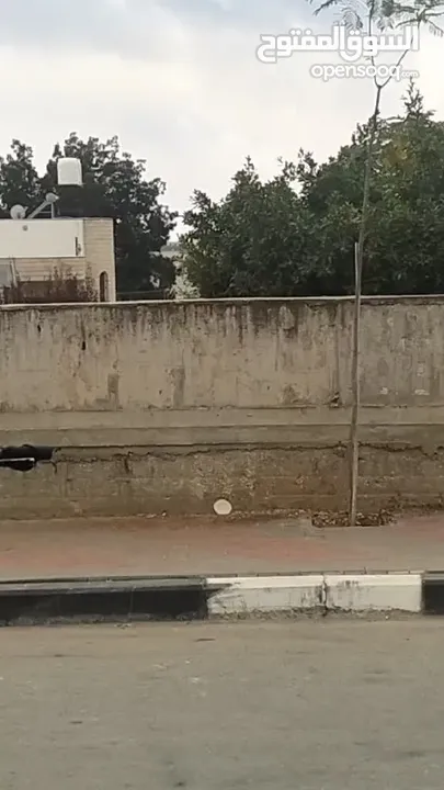 بسكليت كهرباء للبيع بسعر طحن نااااااااااااار (طاااااااااااحن) في سلفيت 2024