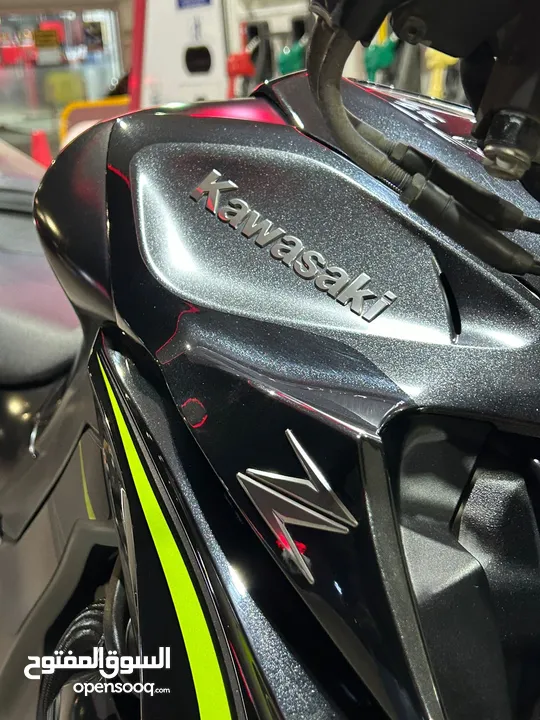 Kawasaki 1000 R Edition