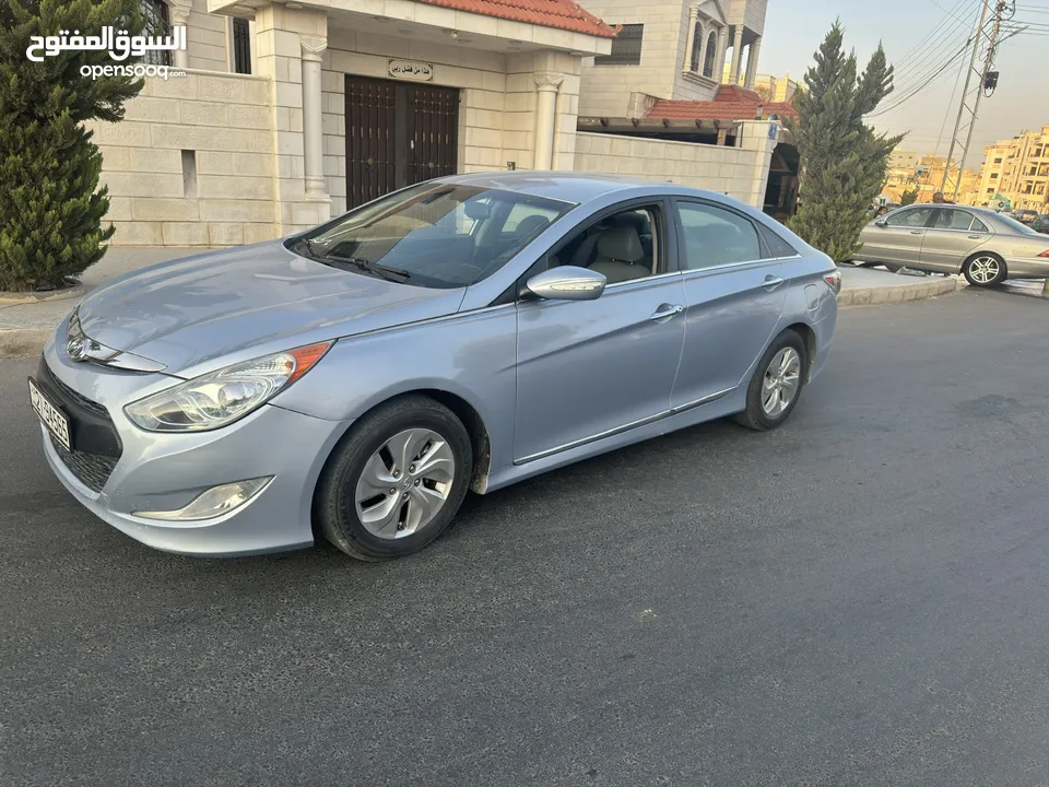 سوناتا وارد أمريكي