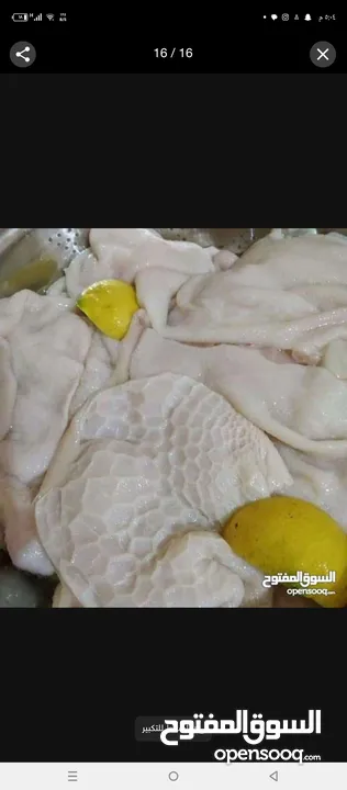 كرشات وفوارغ على كيفك كيفك