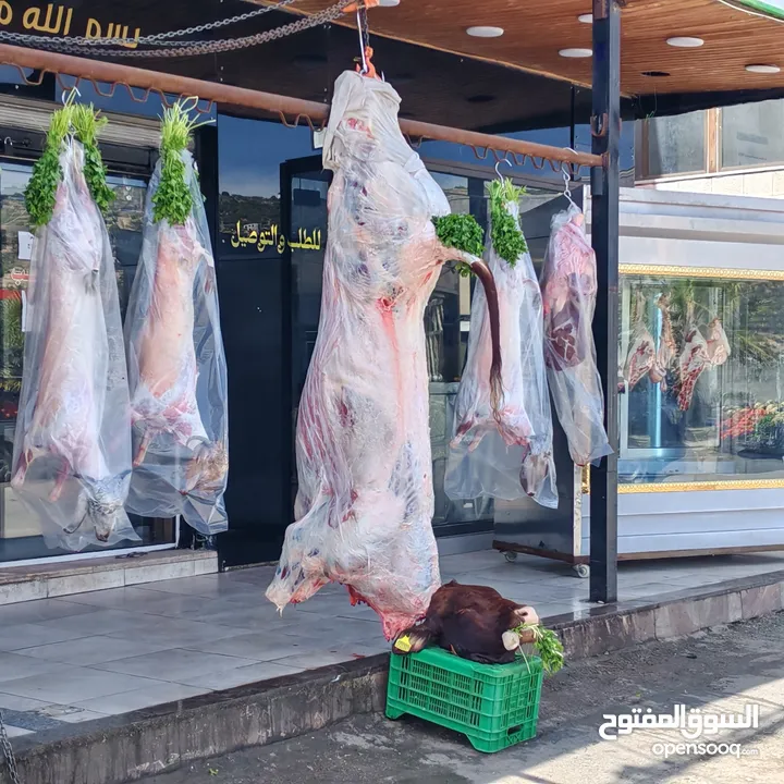 ملحمه مع مطعم في ارقا أماكن سوف منطقه سياحيه بالقرب من مستشفى هيا العسكري المكان مقططض بالمقتربين
