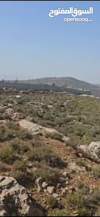 قطعة ارض للبيع في عبوين تصنيف (ب)