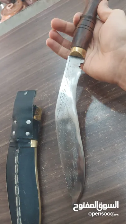 شبريه نيبال  طول 30سم تقريبا وزنها ممتاز                              ..........