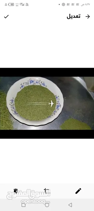 ملوخيه شغل بيت 4كيلو اخضر ب 10د ناشف الكيلو 5  اقل سعر  ملوخيه السنه نخبب  ملوخيه مغسله ونضيفه وجاهز