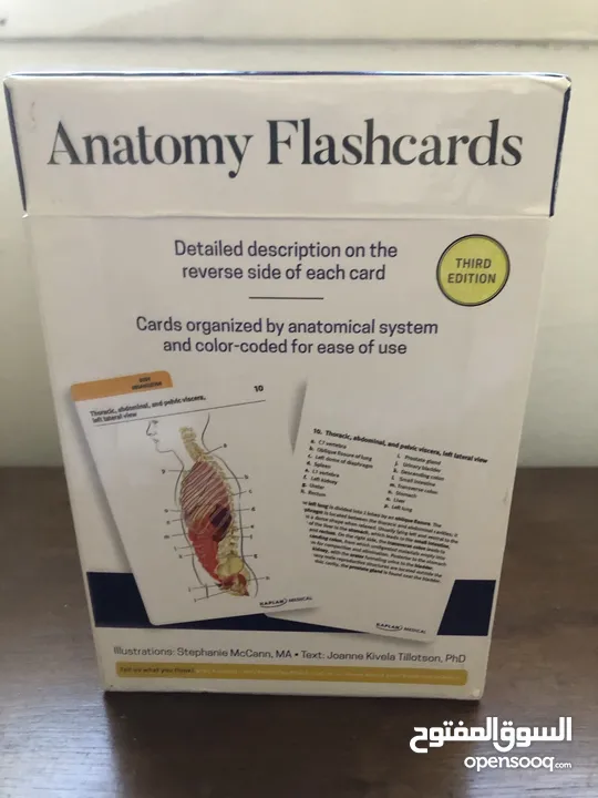 Anatomy Flashcards