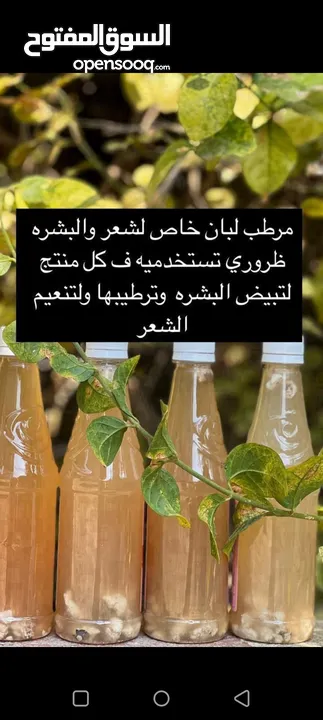 صابونيات عليهم عرض