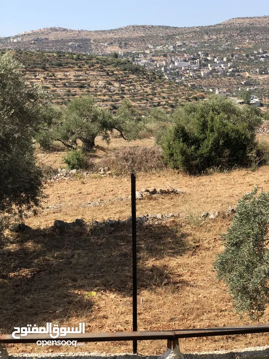 ارض زراعية سكنية