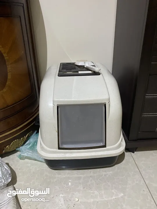 قطة هيمالايا