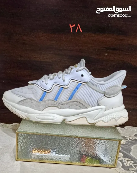 شروه احذية 60 جوز اصلي اوروبي منضف معقم جاهز للبيع