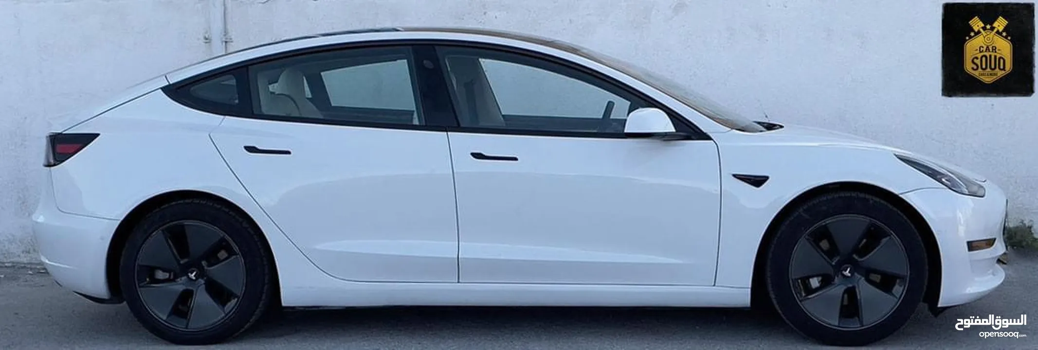 Tesla Model 3 2021 Stander Plus