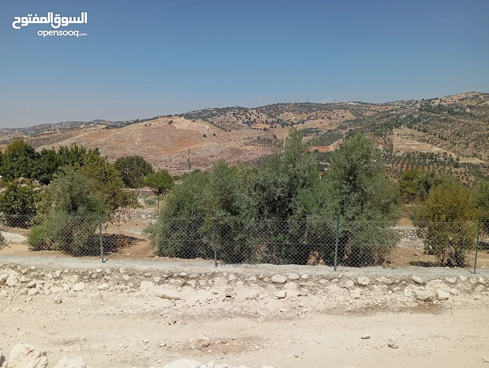 ارض مميزة مطلة ابو السوس غرب عمان عدة قطع في المنطقة.