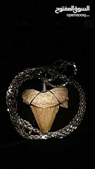 Italian silver necklace with wire wrapped ancient shark tooth fossil + free leather rope