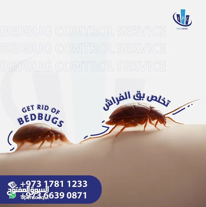 IPC Is Providing 24/7 Pest Control Service in Bahrain - Contact Now!