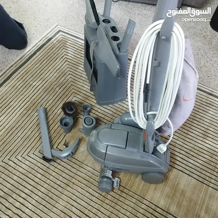 طقم شاموا أمريكي
