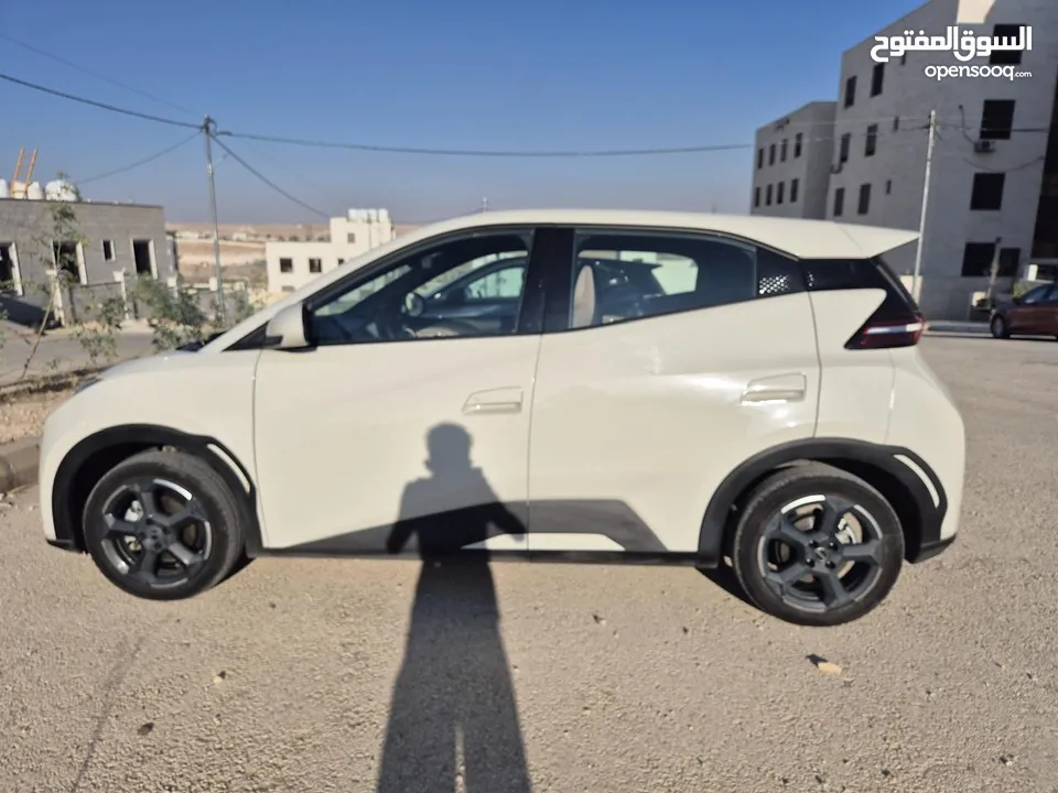 BYD SEAGULL 305km