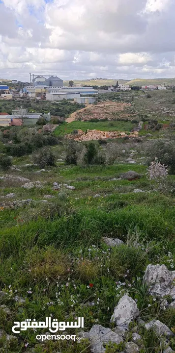 800متر طابوا فلسطيني  -كوشان طابوا -منطقة(B)داخل حدودا البلدية في ارقى منطقة في كفرصور-الكفريات