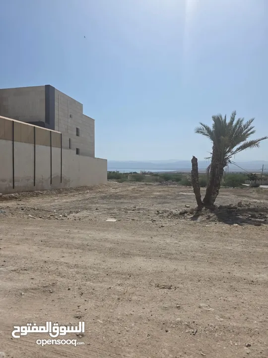 ارض للبيع في البحر الميت – فرصة ذهبية و نادرة للاستثمار أو البناء – قطعة أرض مميزة بمساحة 560م2