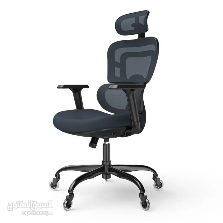 كرسي مكتب Lioncin Ergonomic،، كرسي كمبيوتر يدعم أسفل الظهر مع عجلات ومسند ذراع قابل للتعديل