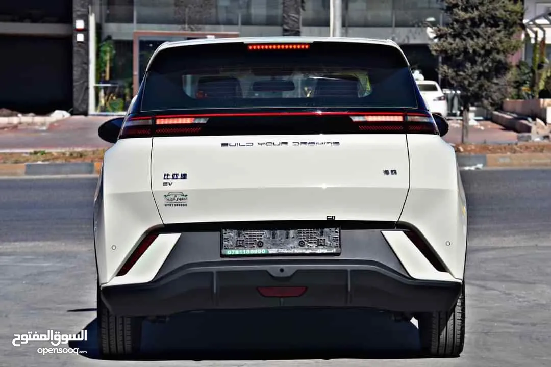 BYD SEAGULL FLYING 2024