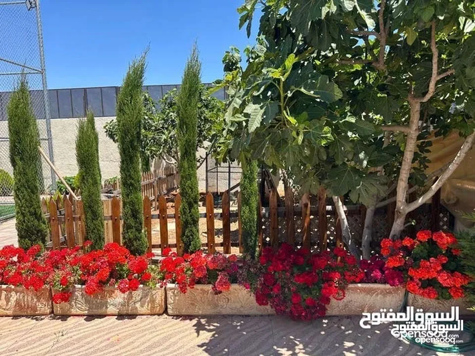 مزرعة وشاليه جنة النعيم بطريق المطار للايجار اليومي باسعار حرق و نظافة عاليه و مساحات كبيرة مع خدمات