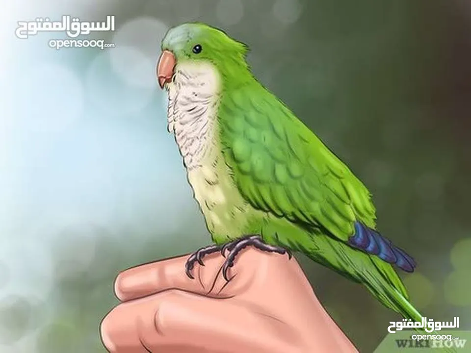 نشتري منك بأحسن الأسعار ونبدل ونبيع اقرأ الوصف صديقي