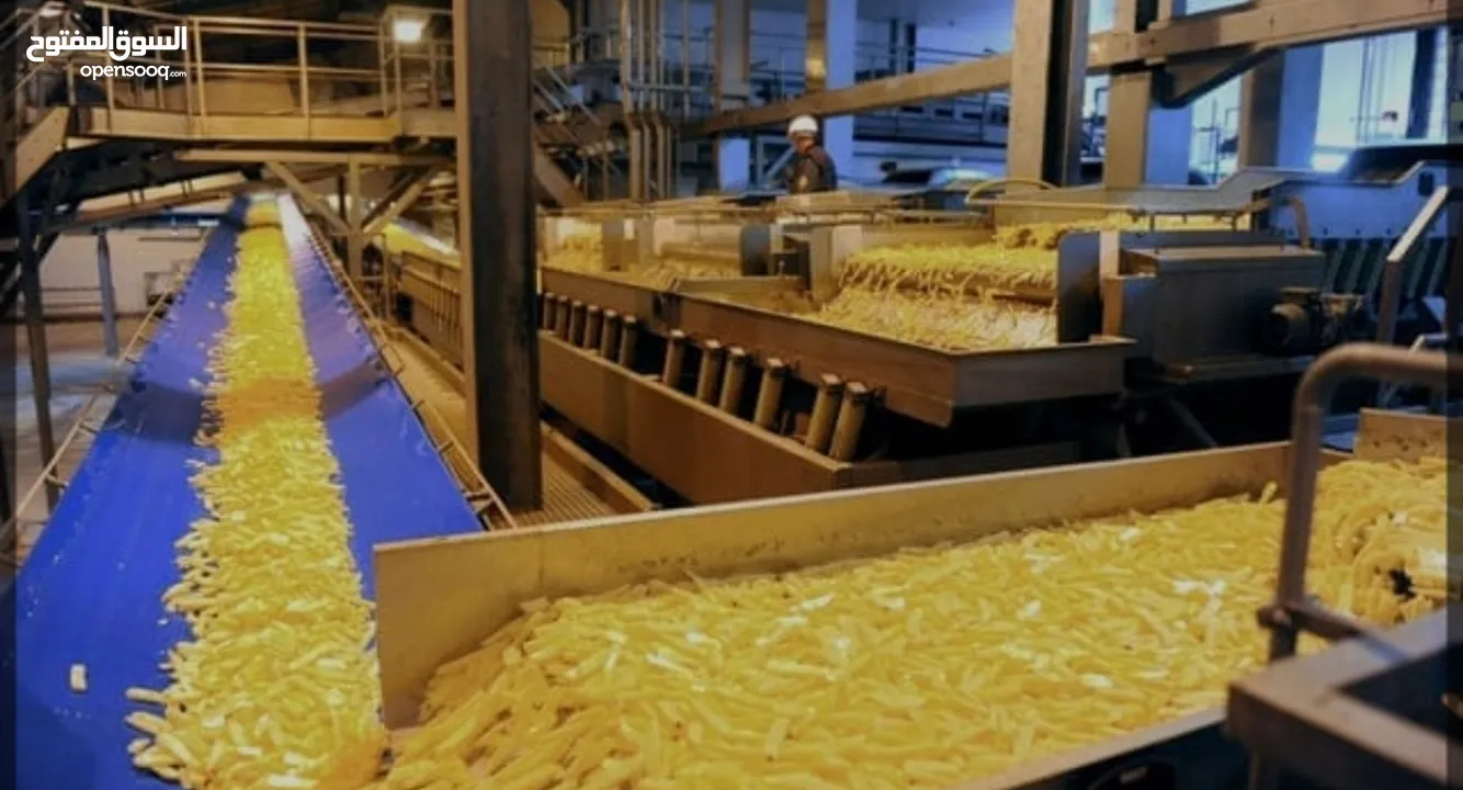مصنع بطاطا فروزن نص مقلية  بالأردن مدينة الحسن الصناعية