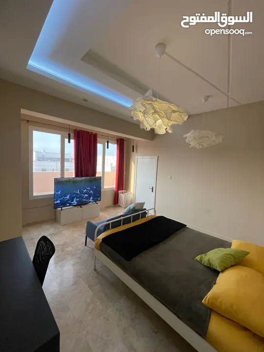 Fully furnished luxury one bedroom flat with all modern equipments and well decorated place