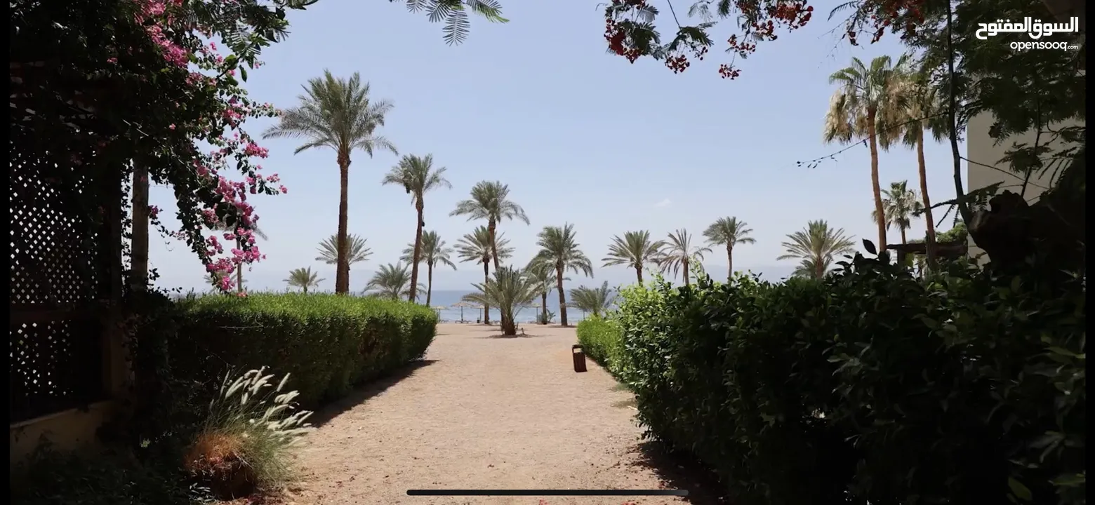 Talabay Apartments for rent  شقق تالابي العقبة للإيجار على البحر و البرك مباشرة