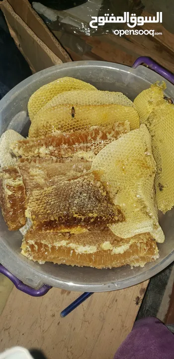 لمن يريد عسل طبيعي يخرجه بنفسه من الخليه مباشرة