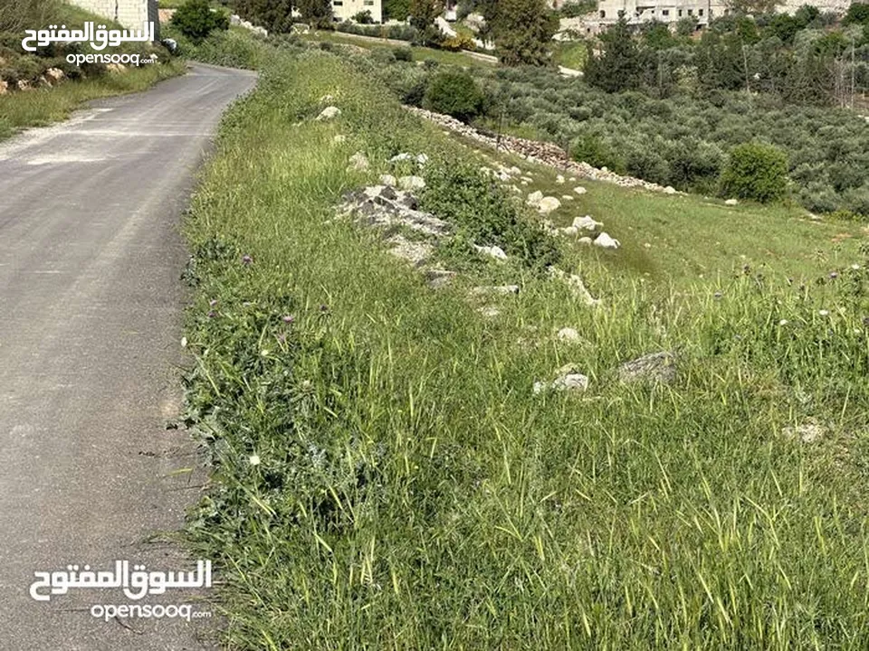 ارض 675 م غرب عمان/مرج الحمام/المشبك.عشارع اسفلت سكن ب 6 د عن دوار شوابكة والمريشد.منطقة خدمات وفلل