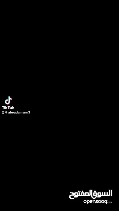 سيات ليون اكس