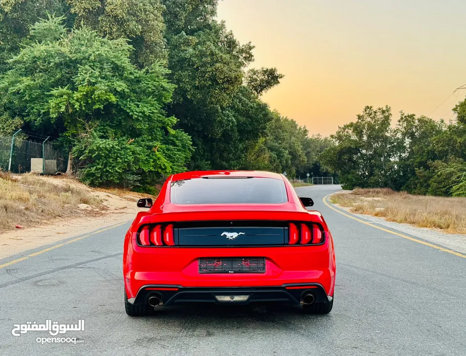 ‏FORD MUSTANG EcoBoost V.4 Turbo 2019